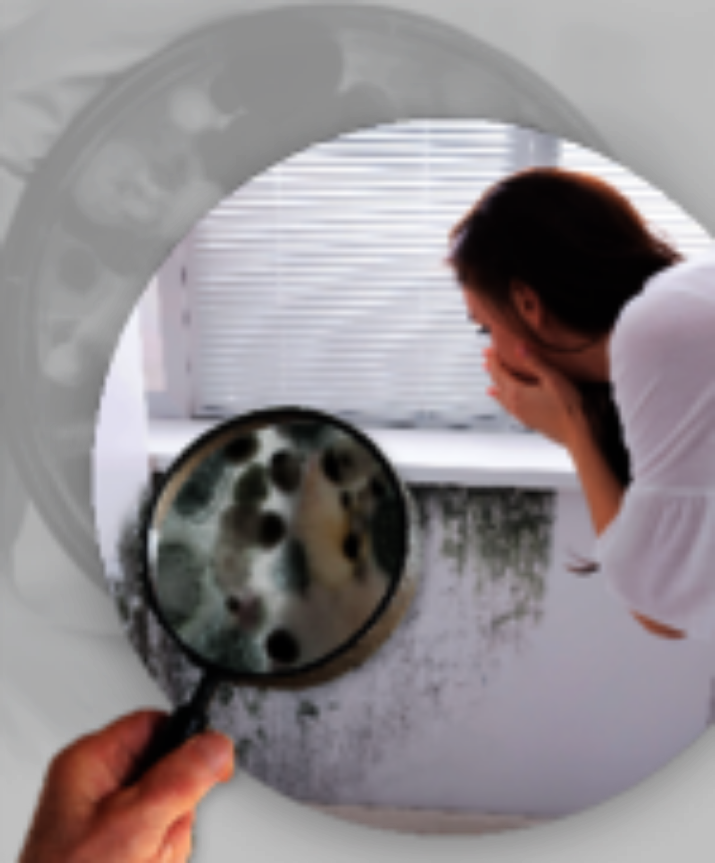 Bild von Schimmelpilzallergie