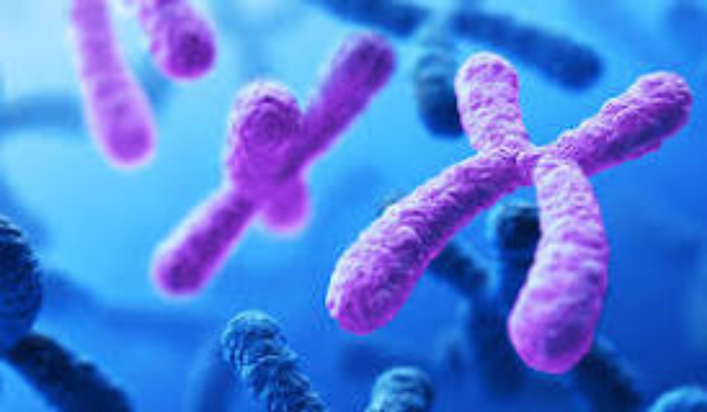 Bild von GENETICS PROFILE (DO NOT DELETE - RALUCA)